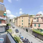 Affitto 2 camera appartamento di 45 m² in Genoa