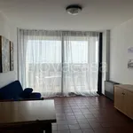 Rent 2 bedroom apartment of 65 m² in Verona