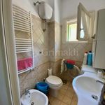 Affittasi Appartamento, Trilocale - Annunci Anzio (Roma) - Rif.568338