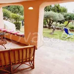 Rent 2 bedroom apartment of 50 m² in Golfo Aranci