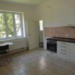 Rent 2 bedroom apartment of 74 m² in Strakonice