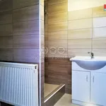 Rent 2 bedroom apartment of 42 m² in Čečovice