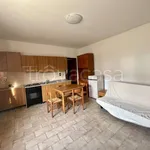 Rent 1 bedroom apartment of 40 m² in Lessolo