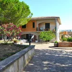 Rent 15 bedroom house of 651 m² in Gangi