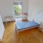 Rent 4 bedroom apartment of 100 m² in Torino