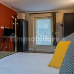 Rent 1 bedroom apartment of 40 m² in Turin