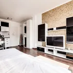 Rent 1 bedroom apartment of 28 m² in Prague