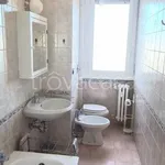 Rent 2 bedroom apartment of 65 m² in Milano