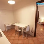 Rent 2 bedroom apartment of 55 m² in Novara