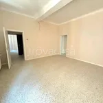 Rent 2 bedroom apartment of 60 m² in Modena