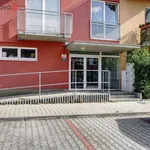 Rent 2 bedroom apartment of 53 m² in Brno