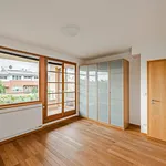 Pronajměte si 5 ložnic/e dům o rozloze 350 m² v Prague