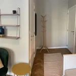 Rent a room in brussels