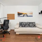 Rent 3 bedroom apartment of 72 m² in Capital City of Prague