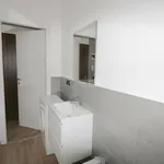 Rent 1 bedroom apartment of 30 m² in Milan