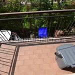 Rent 2 bedroom apartment of 70 m² in Parma