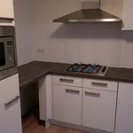 Rent 2 bedroom apartment of 47 m² in Haarlem