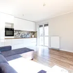 Rent 3 bedroom apartment of 58 m² in Toruń