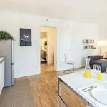 Rent 1 bedroom apartment in berlin