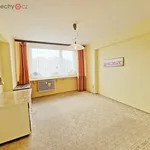 Rent 3 bedroom apartment of 65 m² in Kladno