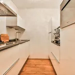 Huur 1 slaapkamer appartement van 70 m² in Amsterdam