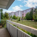 Rent 1 bedroom apartment of 75 m² in Brno