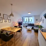 Rent 2 bedroom apartment of 60 m² in Praha 5