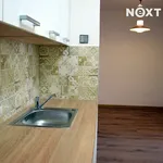 Rent 3 bedroom apartment in Praha 6