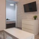 Rent 1 bedroom apartment in madrid