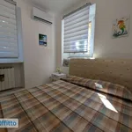 Rent 2 bedroom apartment of 50 m² in Rome