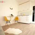 Rent 1 bedroom apartment of 19 m² in Brno-Kohoutovice