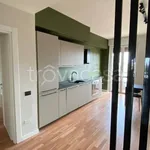 Rent 4 bedroom apartment of 110 m² in Milano