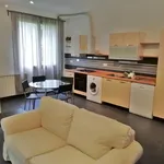 Rent 2 bedroom apartment of 55 m² in Ex manifattura Tabacchi