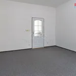 Rent 1 bedroom apartment in Děčín