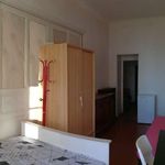 Rent a room in nice