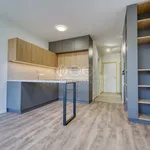 Rent 1 bedroom apartment of 27 m² in Plzeň