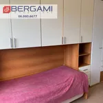 Rent 3 bedroom apartment of 80 m² in Roma