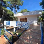 Rent 4 bedroom house of 120 m² in Pulsano