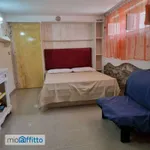 Appartamento arredato Mazzanta