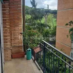 Rent 3 bedroom apartment of 95 m² in Rome