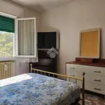 Rent 5 bedroom apartment of 110 m² in Ferrara