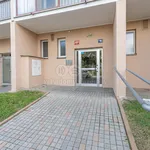 Pronajměte si 3 ložnic/e byt o rozloze 72 m² v Praha