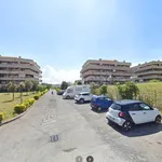 Rent 1 bedroom apartment of 35 m² in Roma