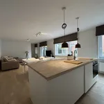 Rent 1 bedroom apartment in Leuven