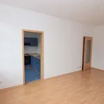 Rent 2 bedroom apartment of 47 m² in Chemnitz