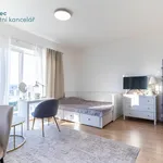 Rent 1 bedroom apartment in Praha 4