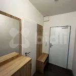 Rent 1 bedroom apartment of 29 m² in Zlín