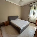 Rent 2 bedroom apartment of 40 m² in Novara