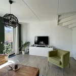 Rent 5 bedroom house of 119 m² in Zuidbroek