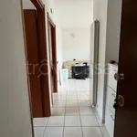 Rent 2 bedroom apartment of 50 m² in L'Aquila